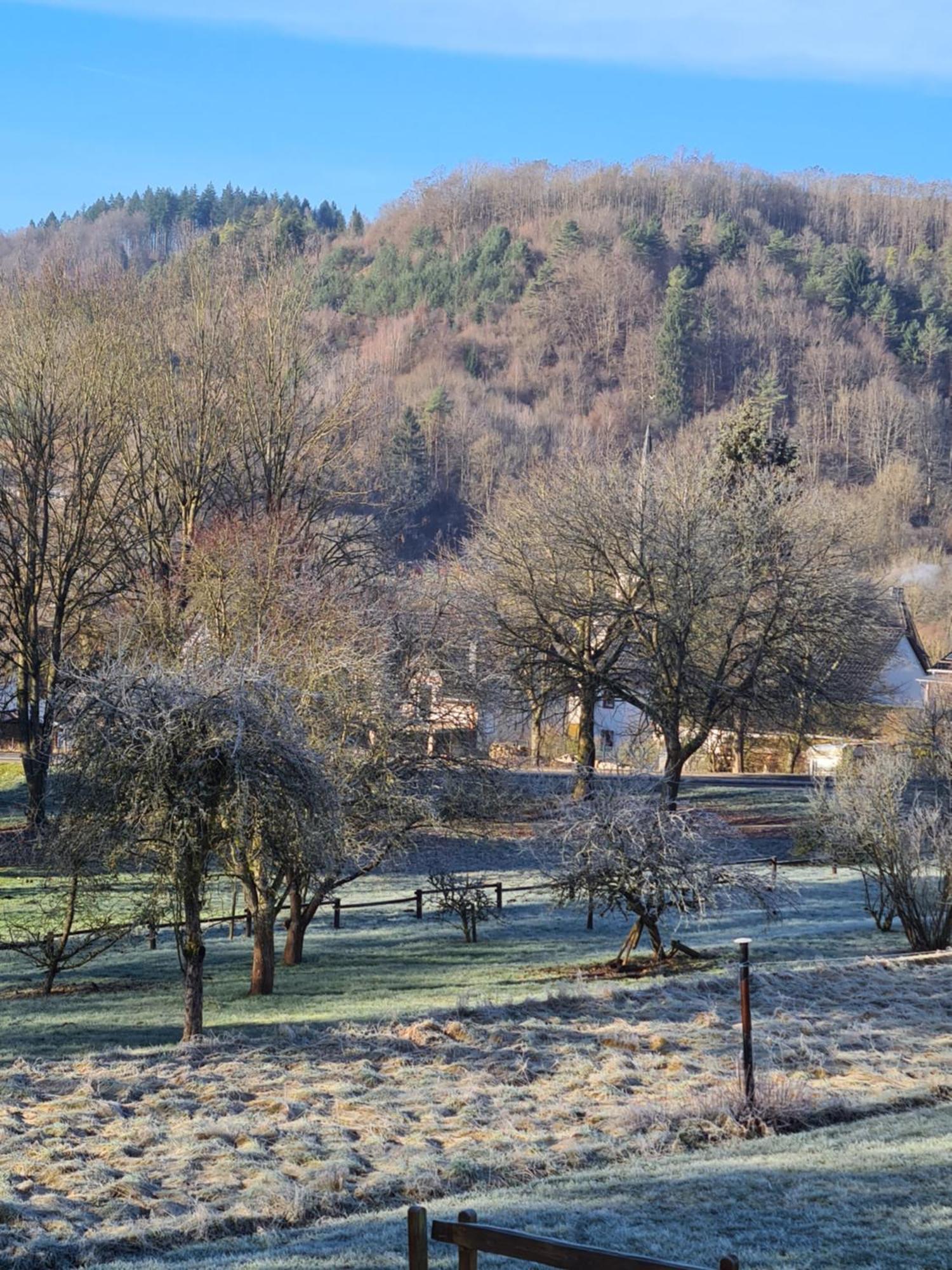 Ferienwohnung Burgblick Pelm Exterior foto